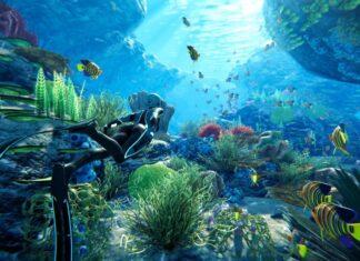 Beyond Blue PS4 2