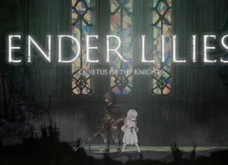 ender-lilies-switch
